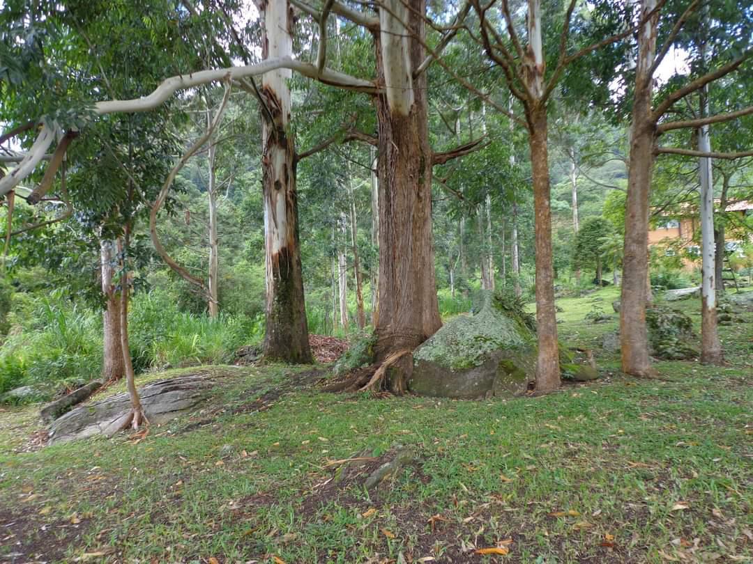 Imagem do WhatsApp de 2025-10-20 à(s) 10.06.05_5d60855f.jpg