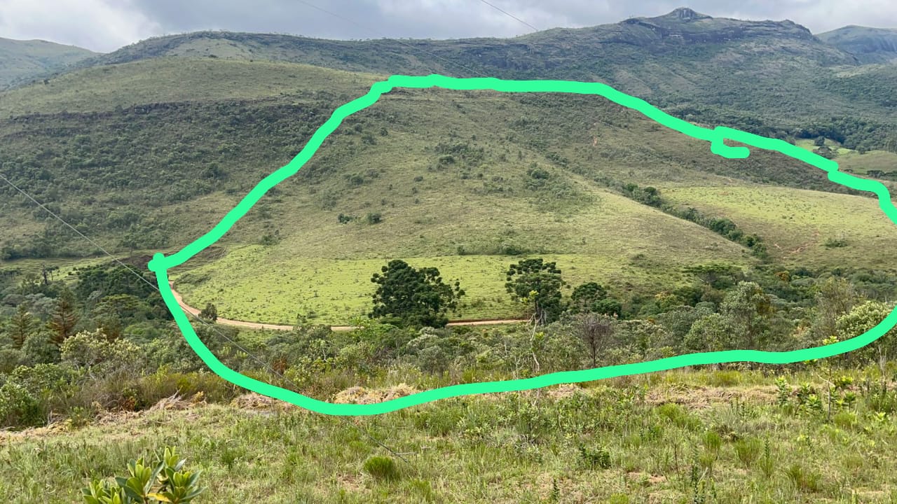 Imagem do WhatsApp de 2025-01-16 à(s) 15.01.48_2874f881.jpg