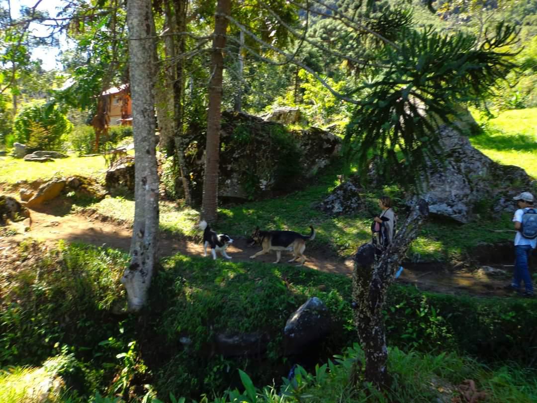 Imagem do WhatsApp de 2025-10-20 à(s) 10.06.10_6f558767.jpg