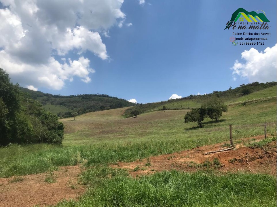 Imagem do WhatsApp de 2024-07-05 à(s) 16.26.16_0178a5e1.jpg