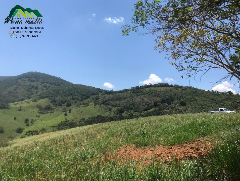 Imagem do WhatsApp de 2024-07-05 à(s) 16.26.15_e974c9f1.jpg